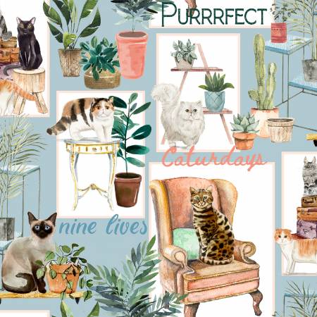 Everyday Caturday Blue Cat Cat Patch