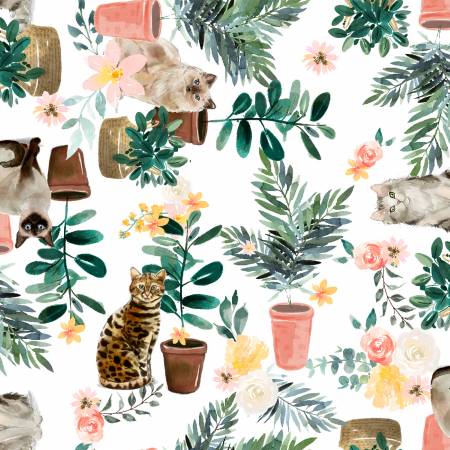 Everyday/CaturdayWhite Cat Plants