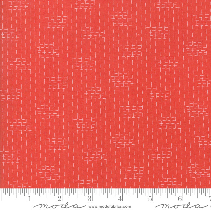 Le Pavot Poppy