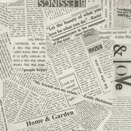 Spackle Newsprint Canvas