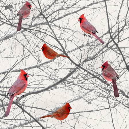 White/Red Cardinals