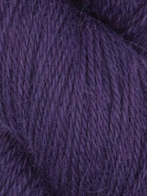 Llama Umi 13 Elderberry