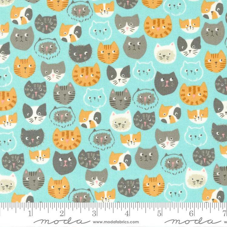 Here Kitty Kitty Aqua 20830 18