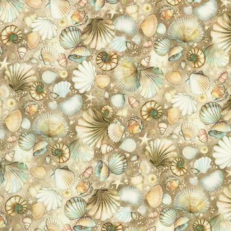 Ocean Fantasy Shell Shells