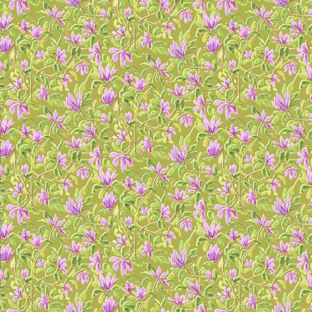 Lime Magnolias