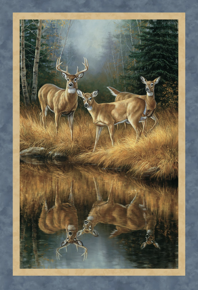 Nature Scapes Panel