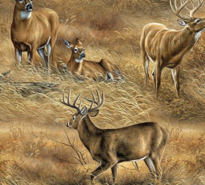 Nature Scapes Field of Deer