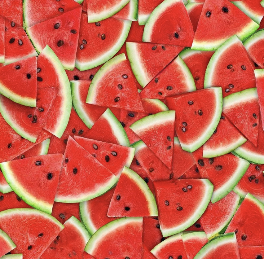 Watermelon Slices