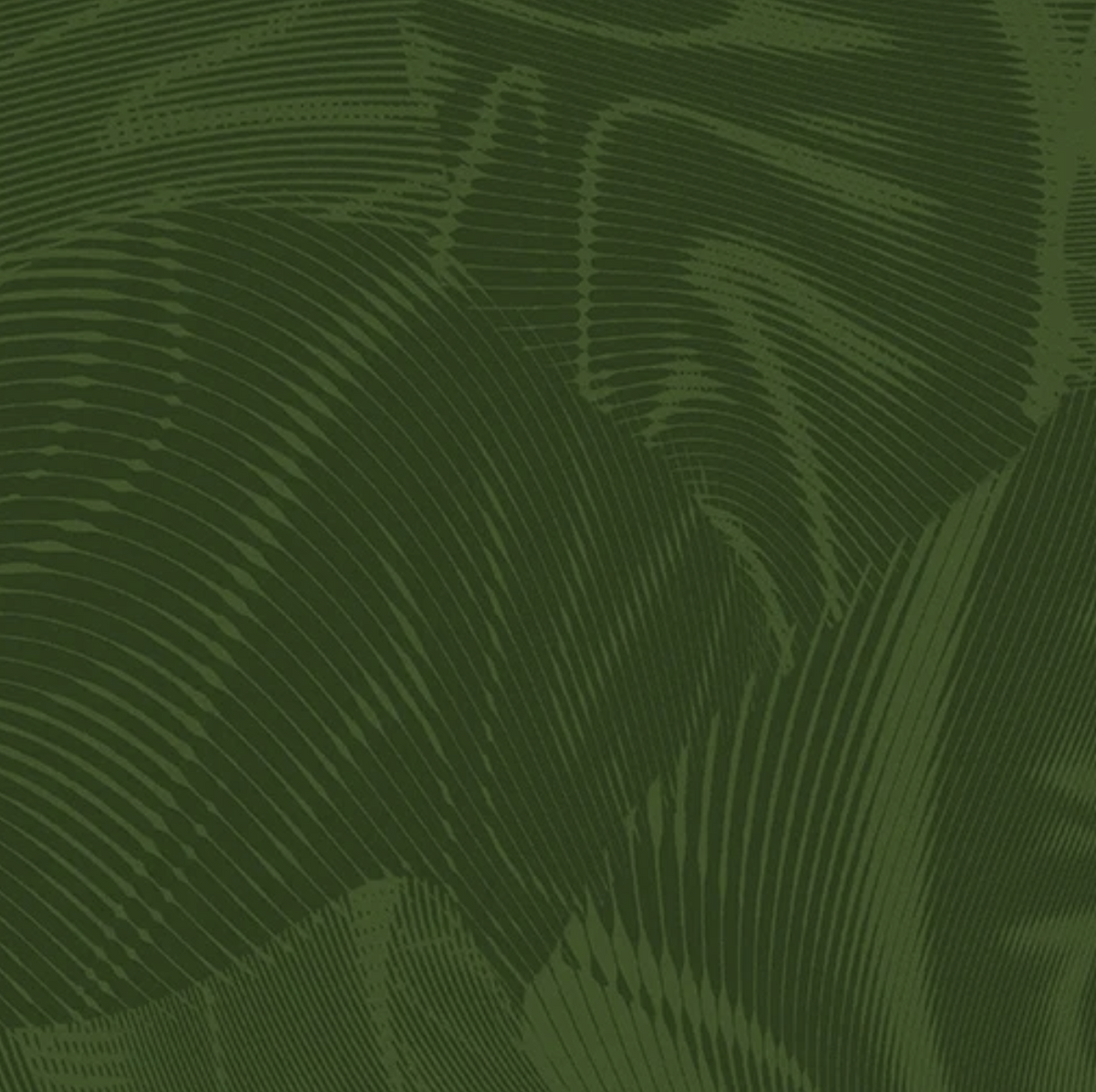 Heartland Holiday Echo Dark Green