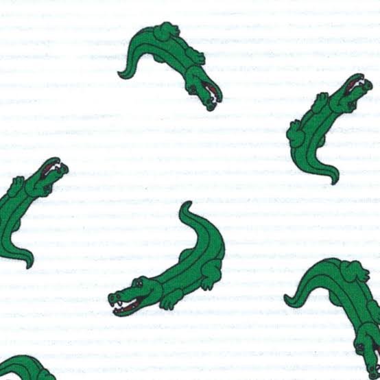 Alligators #2804 60"
