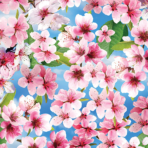 Cherry Hill  Blossoms Blue