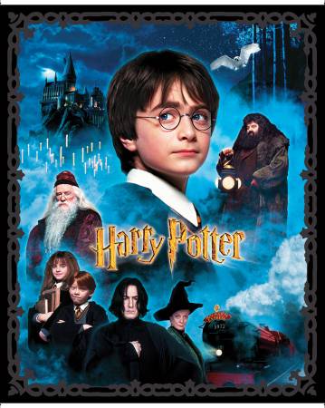 Harry Potter Panel Multi