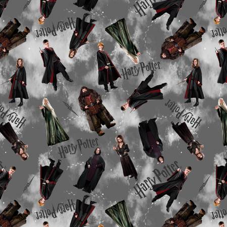 Harry Potter Characters Gray