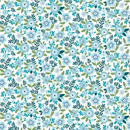 Seaside Garden Aquamarine Asters