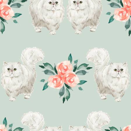 Everyday Caturday White Cats
