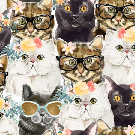 Everyday/Caturday Packed Cats