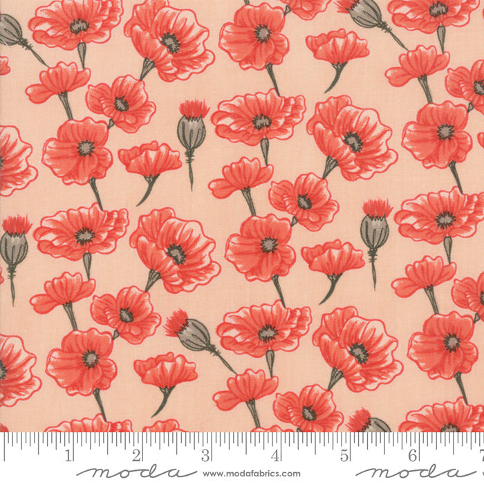 Le Pavot Blush