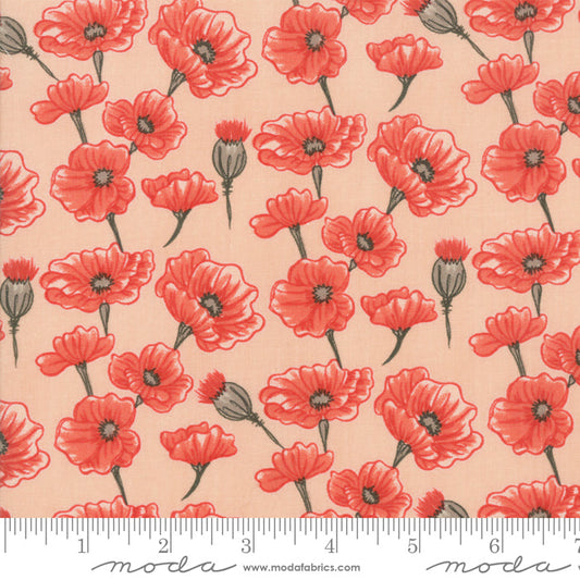 Le Pavot Blush