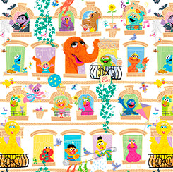 Sesame Street CHARACTERS IN WINDOWS WHITE