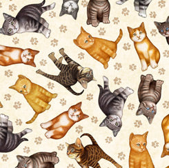 Felicity KITTEN TOSS