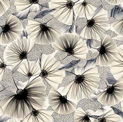 FLORAL ALLURE - FAN FLORAL
