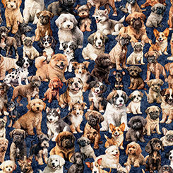 QT CUTIES 2 - PACK OF PUPPIES