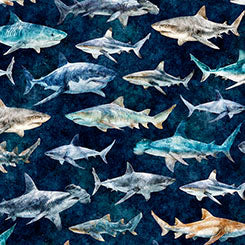 INTO THE DEEP - Sharks