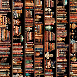 BOOK CLUB - Bookshelf Border Stripe