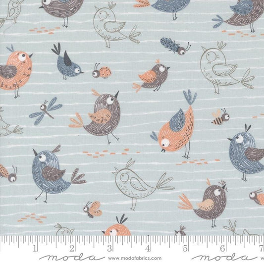 Chirp Friends Sky 39030 19