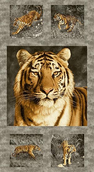 Tiger Kingdom A-8696-C