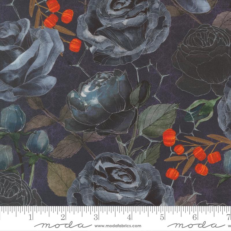 Coven Midnight 48800 15 Moda #1