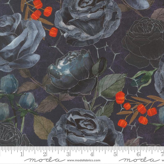 Coven Midnight 48800 15 Moda #1