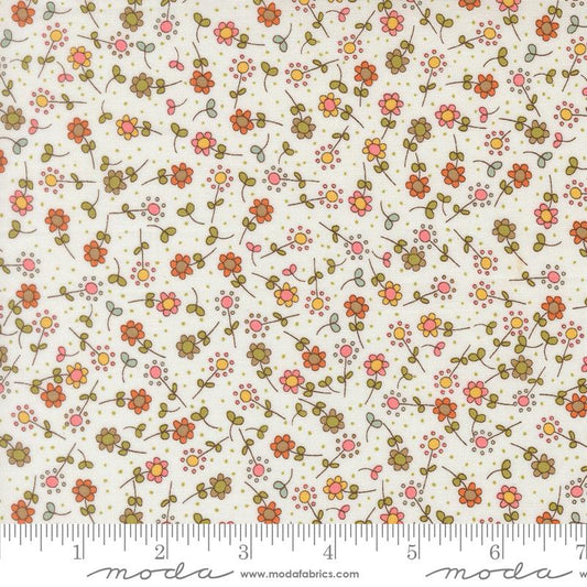 Bug Collector Cloud 55733 11 Moda #1