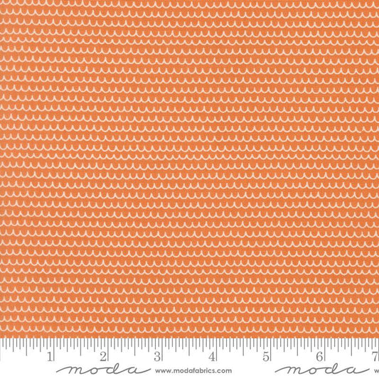 Bug Collector Orange 55735 26 Moda #1