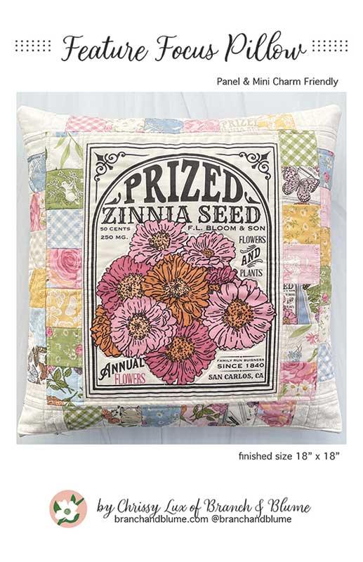 Feature Focus Pillow