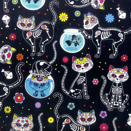 Black Day of the Dead Kitty
