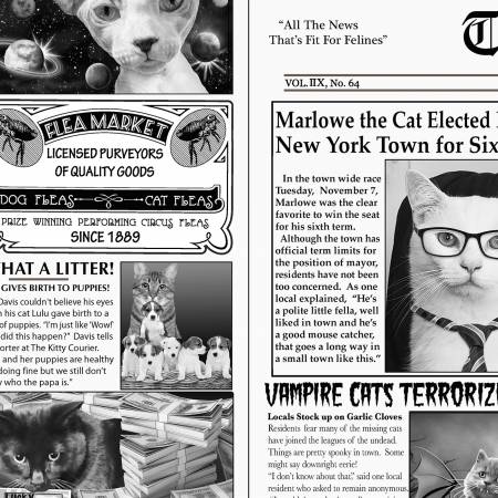 Newsprint Cat News