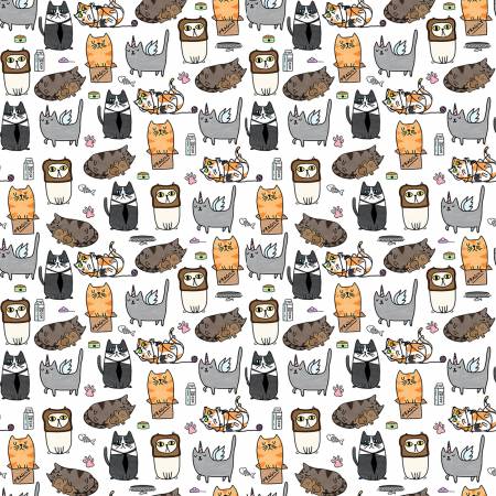 Silly White Kitties