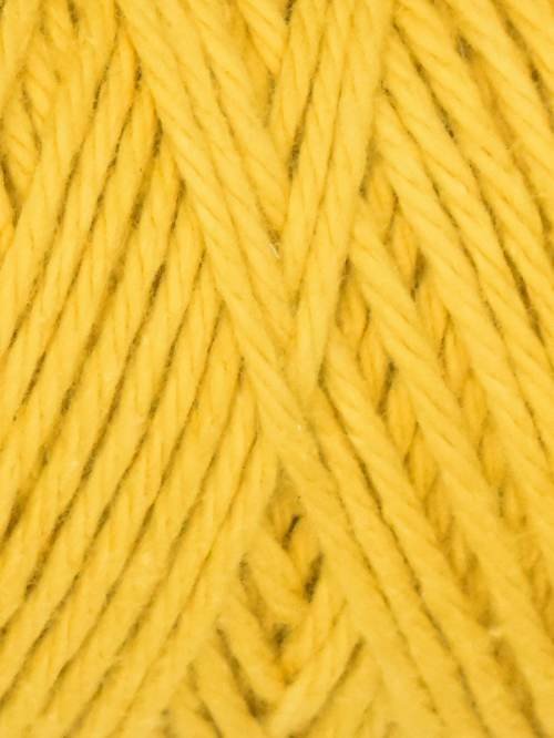 Coastal Cotton Yarn