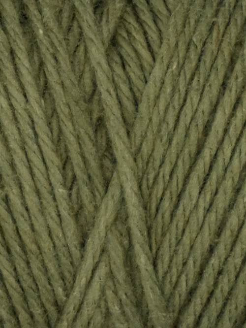 Coastal Cotton Moss