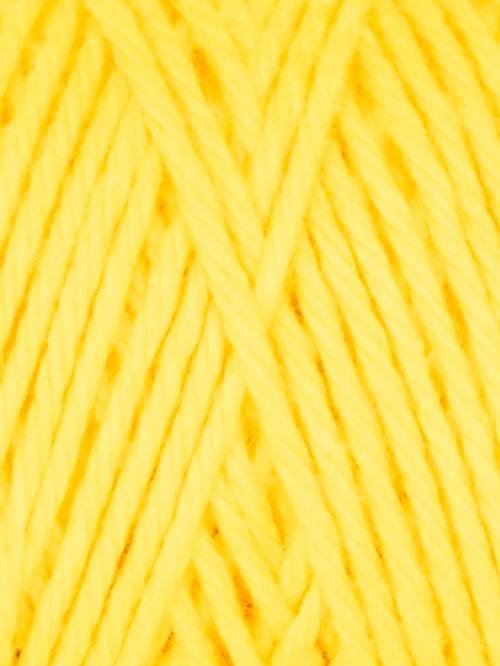 Coastal Cotton Yarn