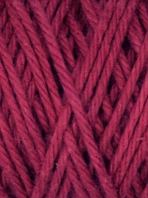 Coastal Cotton Amaranth