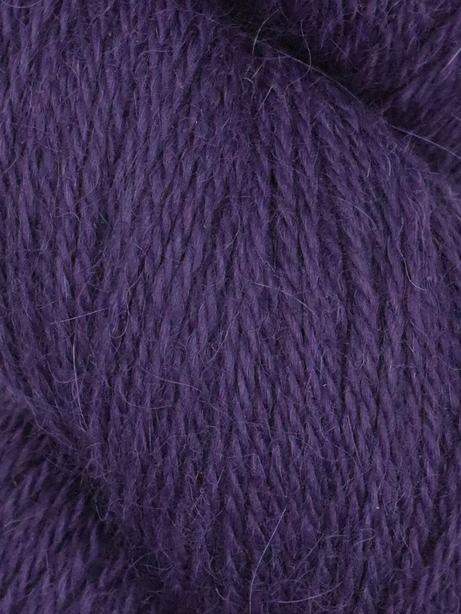 Llama Umi 13 Elderberry