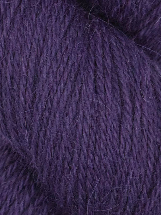 Llama Umi 13 Elderberry