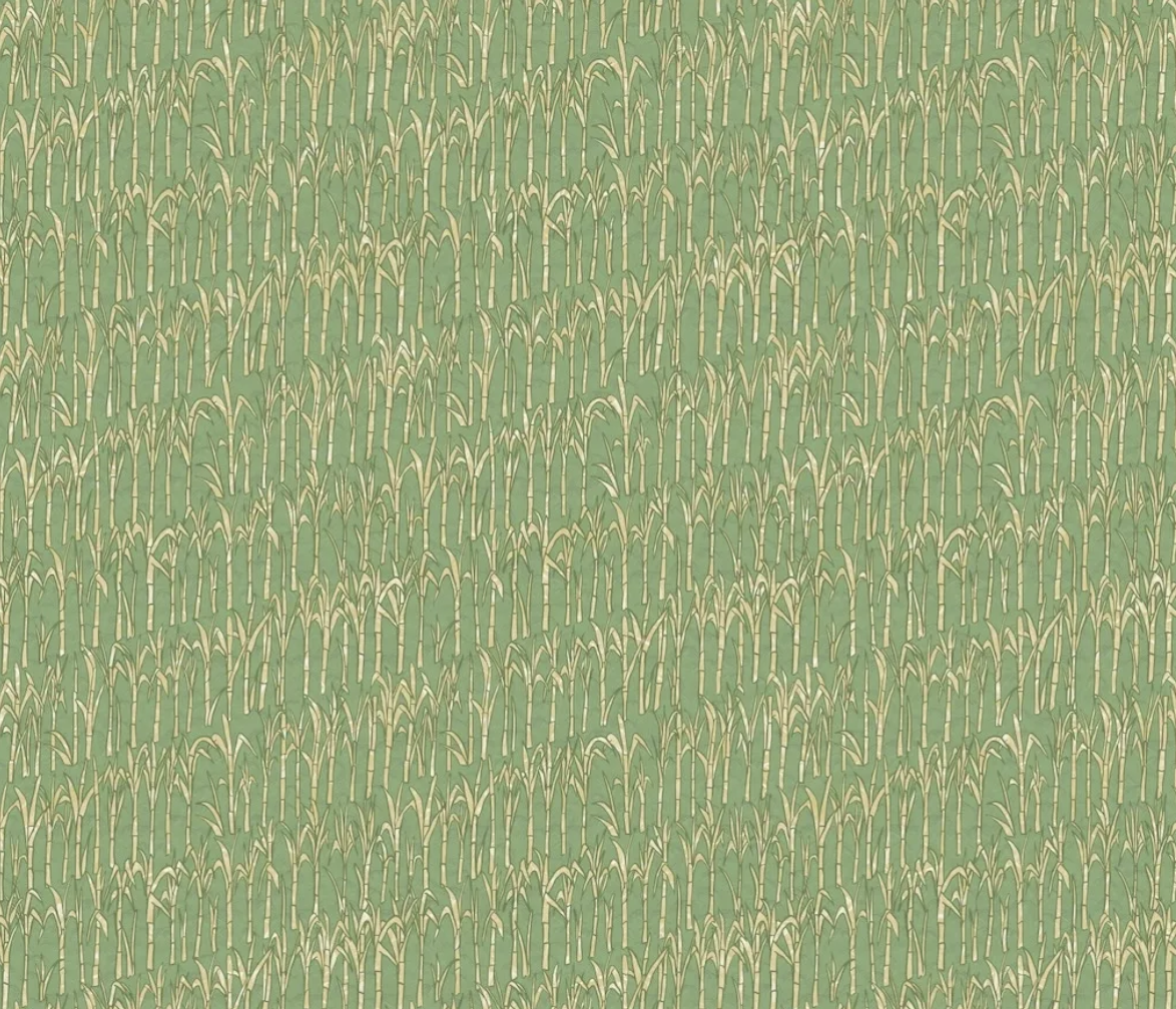 German Coast Green