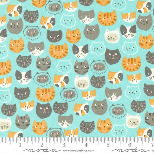 Here Kitty Kitty Aqua 20830 18
