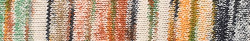 Laines du Nord Inca Cotton Yarn