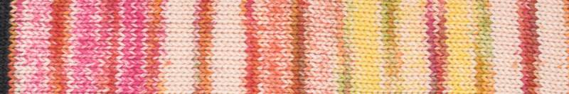 Laines du Nord Inca Cotton Yarn