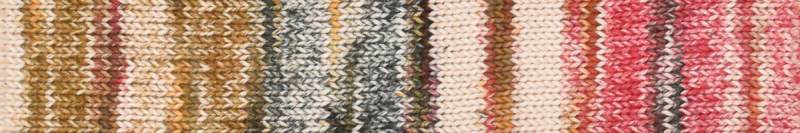Laines du Nord Inca Cotton Yarn
