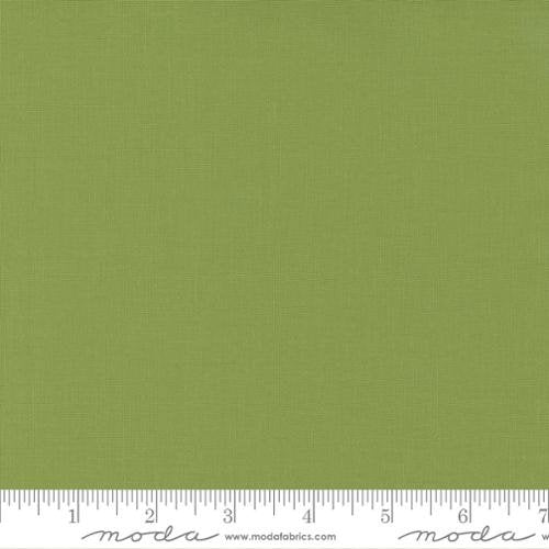My Secret Garden Solids Fern